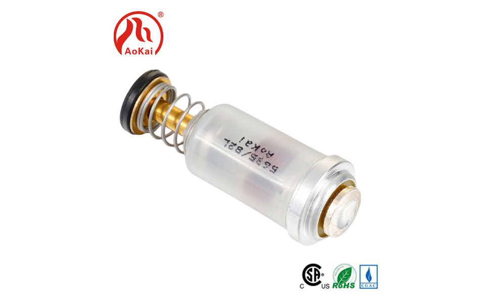 कसरी क्षति बाट स्टेनलेस स्टील solenoid वाल्व रोक्न