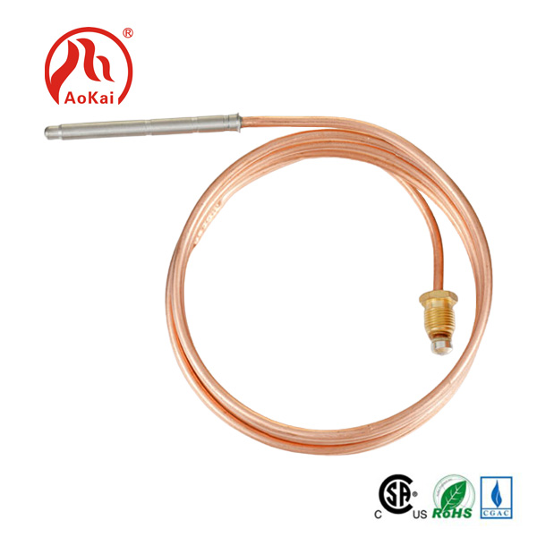 लचीला Thermocouple